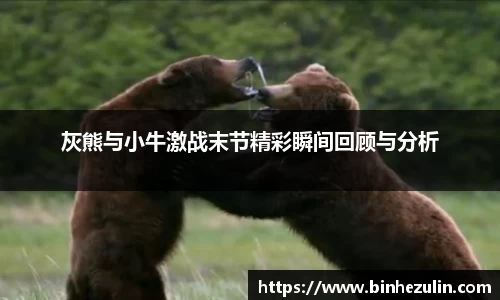 灰熊与小牛激战末节精彩瞬间回顾与分析